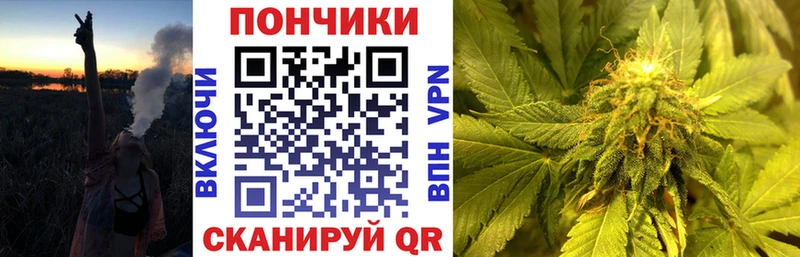 Купить  Острогожск  Каннабис индика 